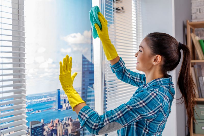 How Professional Window Cleaning Improves Home Curb Appeal
