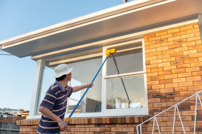 Spring Window Cleaning